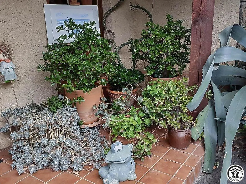 Vila L'Ourson Montespan Francie